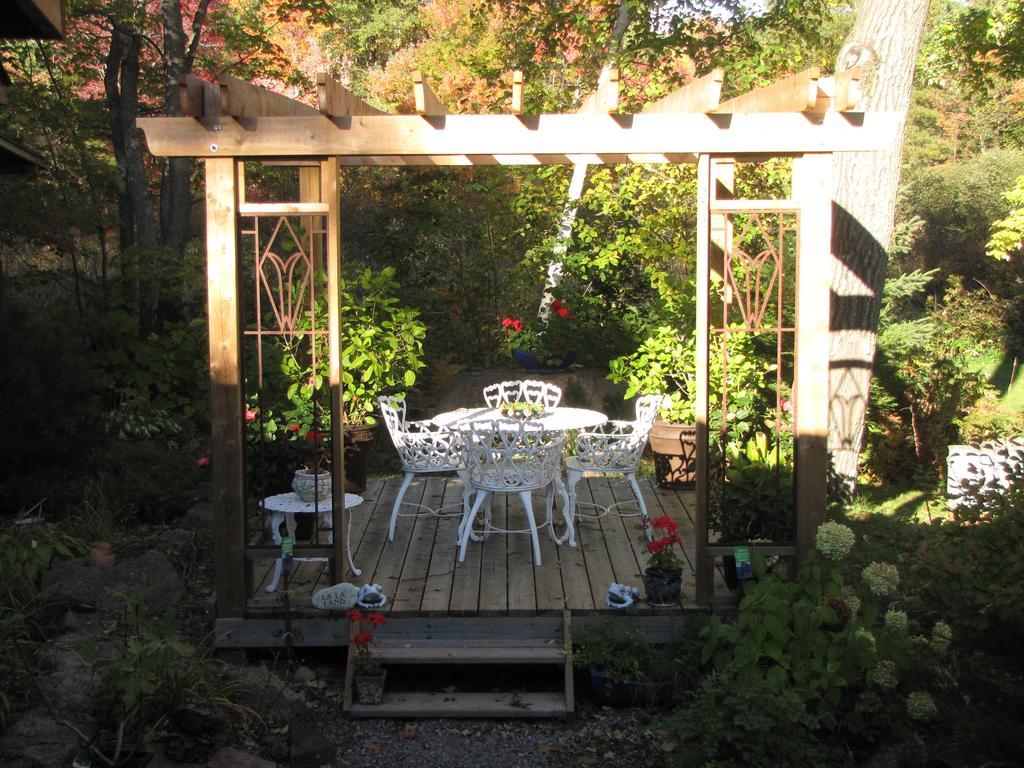 Shambhala Bed And Breakfast Buckhorn Luaran gambar